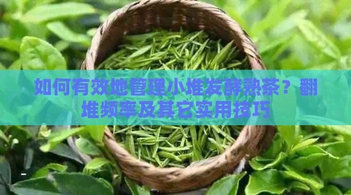 如何有效地管理小堆发酵熟茶？翻堆频率及其它实用技巧