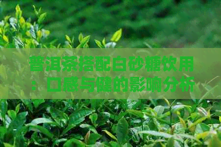 普洱茶搭配白砂糖饮用：口感与健的影响分析