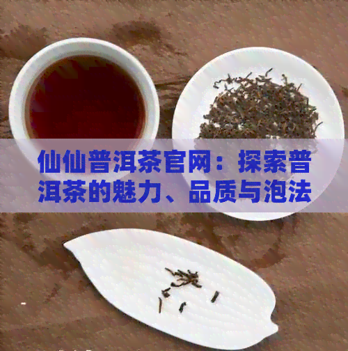 仙仙普洱茶官网：探索普洱茶的魅力、品质与泡法，解答您关于茶的所有疑问