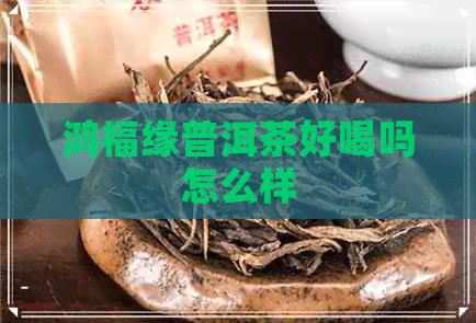 鸿福缘普洱茶好喝吗怎么样