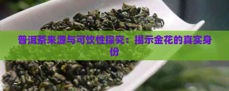 普洱茶来源与可饮性探究：揭示金花的真实身份