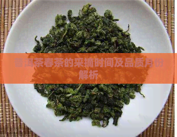 普洱茶春茶的采摘时间及品质月份解析