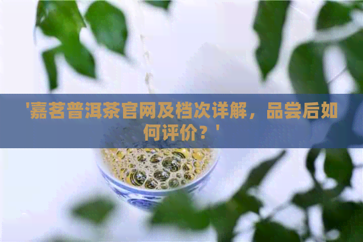 '嘉茗普洱茶官网及档次详解，品尝后如何评价？'