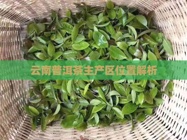 云南普洱茶主产区位置解析