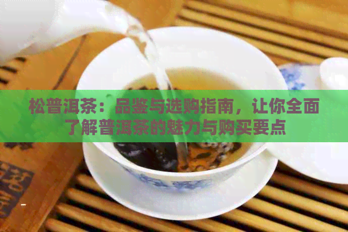 松普洱茶：品鉴与选购指南，让你全面了解普洱茶的魅力与购买要点