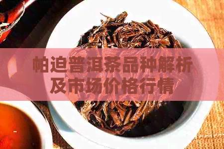 帕迫普洱茶品种解析及市场价格行情