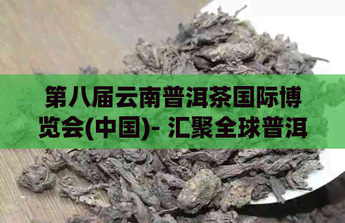 第八届云南普洱茶国际博览会(中国)- 汇聚全球普洱茶交易会