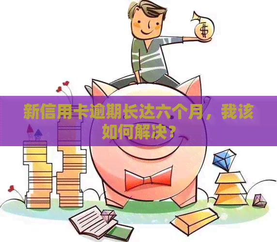 新信用卡逾期长达六个月，我该如何解决？