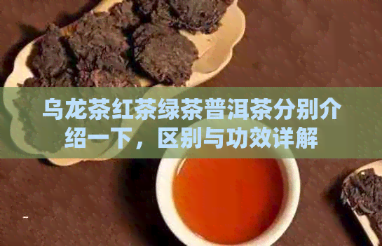 乌龙茶红茶绿茶普洱茶分别介绍一下，区别与功效详解