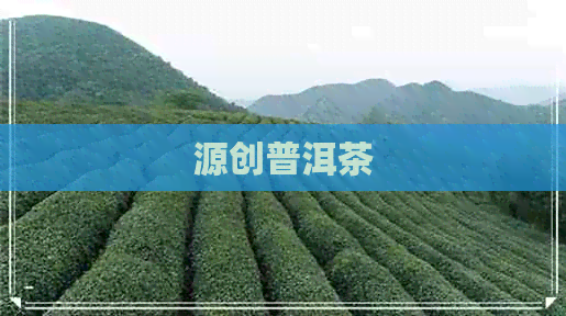 源创普洱茶