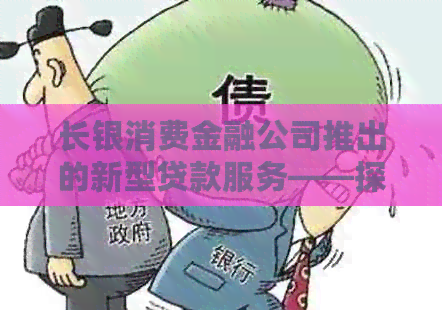 长银消费金融公司推出的新型贷款服务——探索陕西地区的金融服务发展