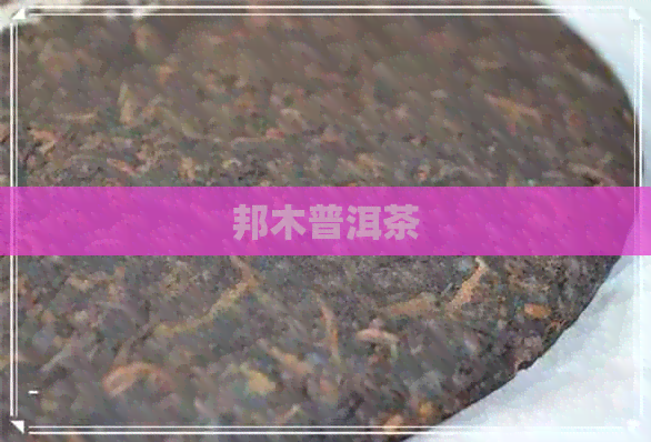 邦木普洱茶