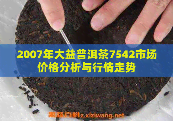 2007年大益普洱茶7542市场价格分析与行情走势