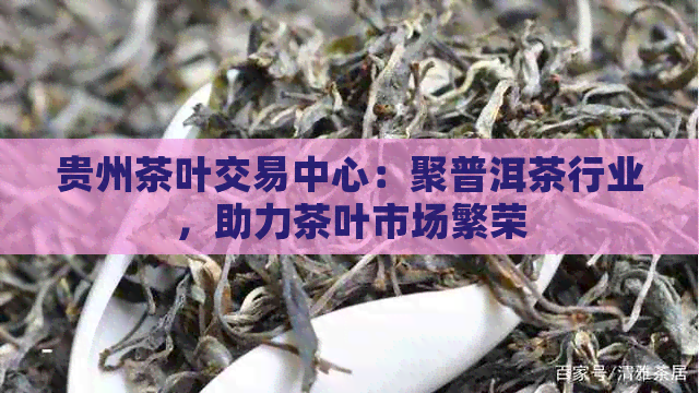 贵州茶叶交易中心：聚普洱茶行业，助力茶叶市场繁荣