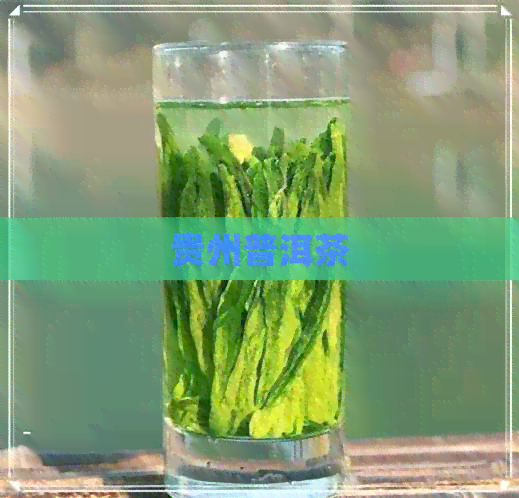 贵州普洱茶