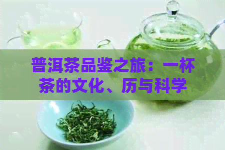 普洱茶品鉴之旅：一杯茶的文化、历与科学