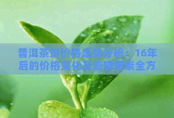 普洱茶饼价格走势分析：16年后的价格变化及影响因素全方位解析