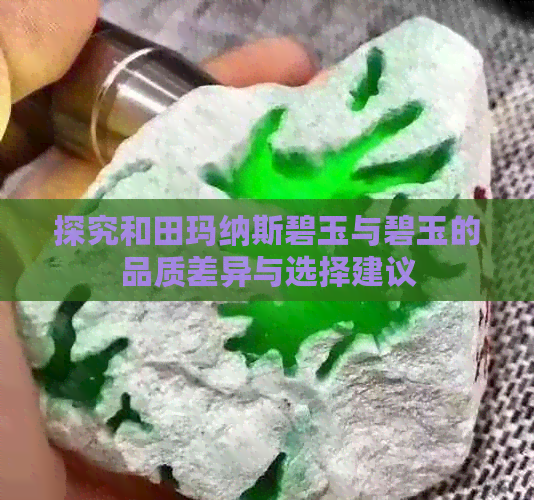 探究和田玛纳斯碧玉与碧玉的品质差异与选择建议