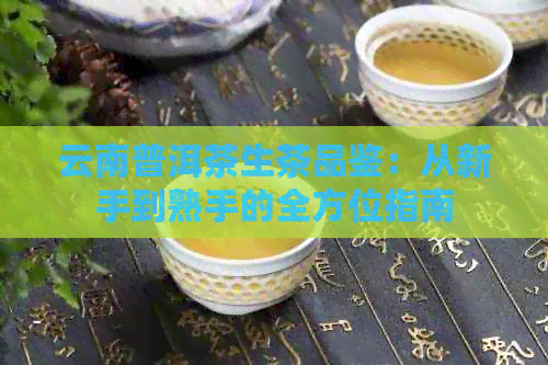 云南普洱茶生茶品鉴：从新手到熟手的全方位指南