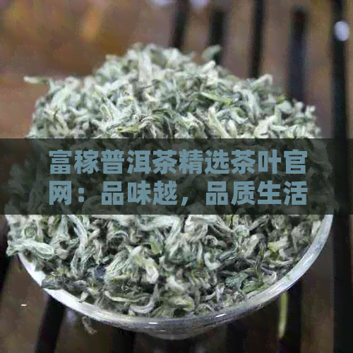 富稼普洱茶精选茶叶官网：品味越，品质生活