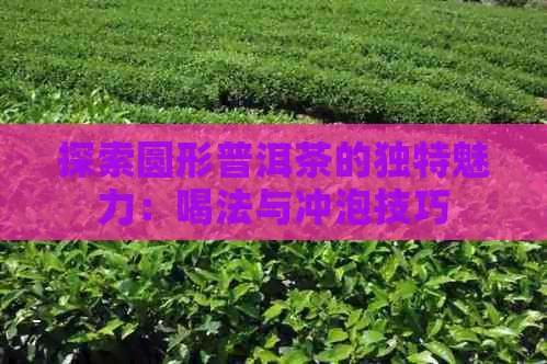 探索圆形普洱茶的独特魅力：喝法与冲泡技巧