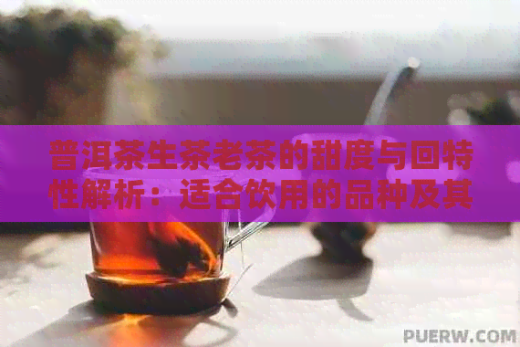 普洱茶生茶老茶的甜度与回特性解析：适合饮用的品种及其注意事项