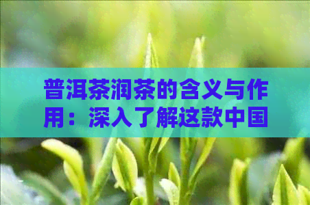 普洱茶润茶的含义与作用：深入了解这款中国特色茶叶