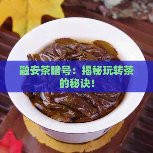 融安茶暗号：揭秘玩转茶的秘诀！