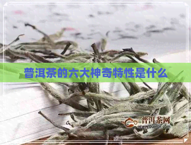 普洱茶的六大神奇特性是什么