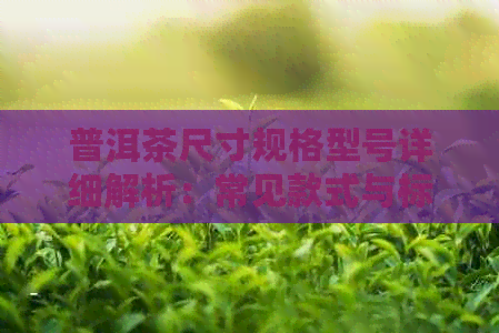 普洱茶尺寸规格型号详细解析：常见款式与标准对比一览无余