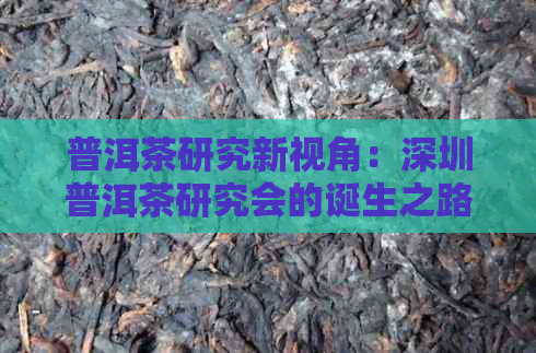 普洱茶研究新视角：深圳普洱茶研究会的诞生之路