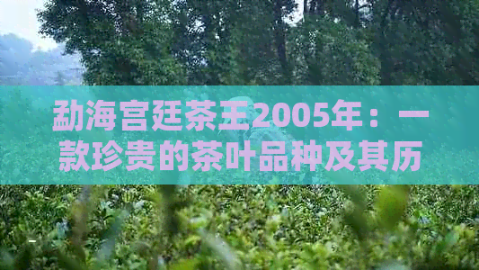 勐海宫廷茶王2005年：一款珍贵的茶叶品种及其历与制作工艺详解