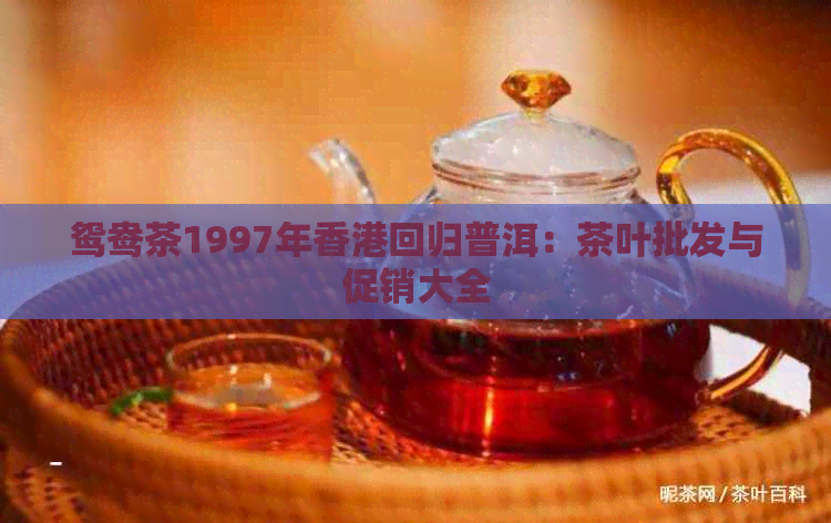 鸳鸯茶1997年回归普洱：茶叶批发与促销大全