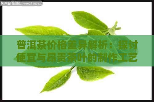 普洱茶价格差异解析：探讨便宜与昂贵茶叶的制作工艺、品质和市场因素