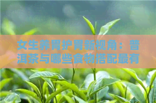 女生养胃护胃新视角：普洱茶与哪些食物搭配最有益？