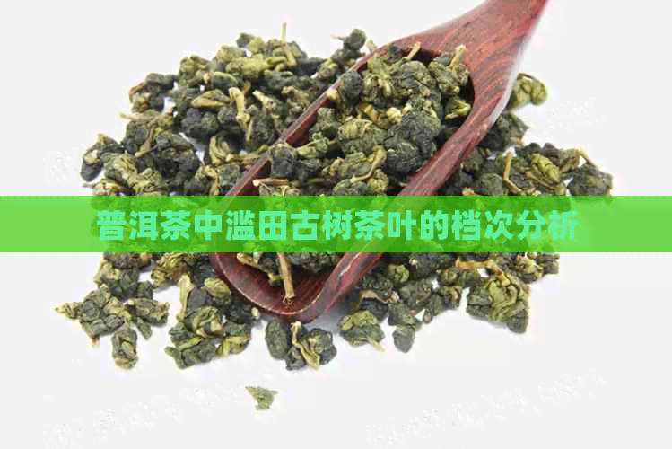 普洱茶中滥田古树茶叶的档次分析