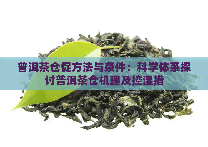 普洱茶仓促方法与条件：科学体系探讨普洱茶仓机理及控湿措