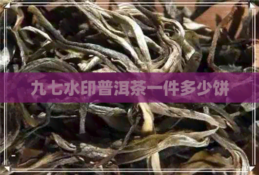 九七水印普洱茶一件多少饼