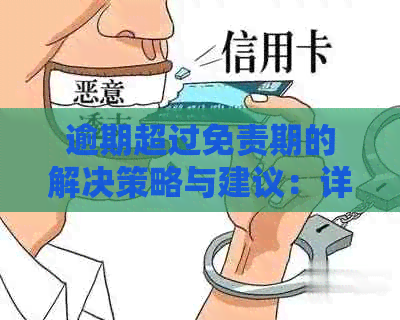 逾期超过免责期的解决策略与建议：详细指南与操作步骤