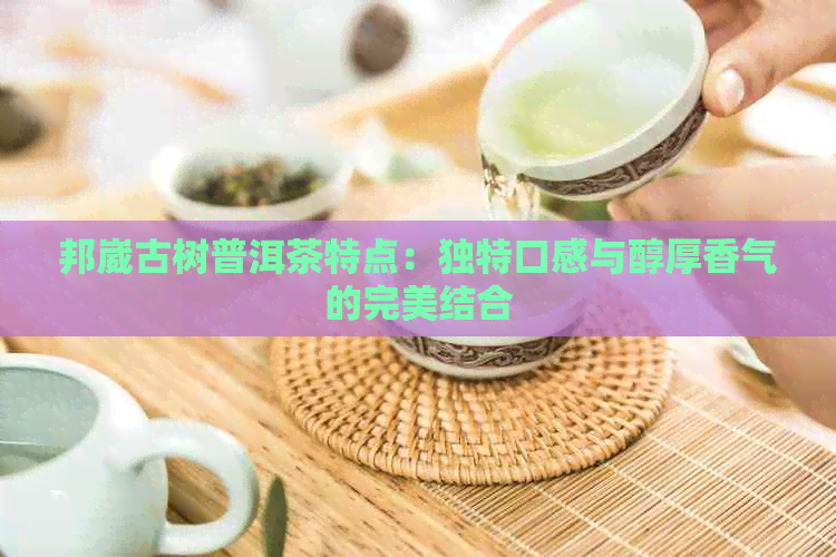 邦崴古树普洱茶特点：独特口感与醇厚香气的完美结合