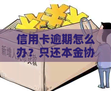 信用卡逾期怎么办？只还本金协商流程，无力偿还解决办法