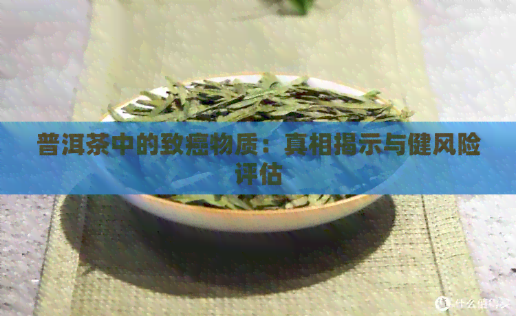 普洱茶中的致癌物质：真相揭示与健风险评估