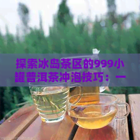 探索冰岛茶区的999小罐普洱茶冲泡技巧：一款不容错过的生茶体验