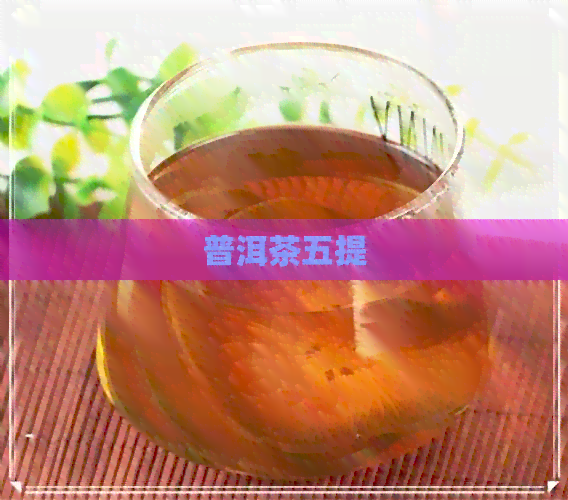 普洱茶五提