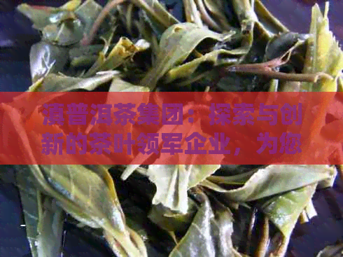 滇普洱茶集团：探索与创新的茶叶领军企业，为您提供全方位的普洱茶体验