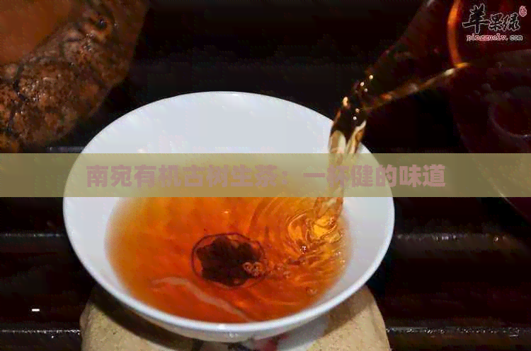 南宛有机古树生茶：一杯健的味道