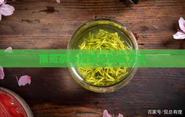 南苑茶叶招聘及联系方式