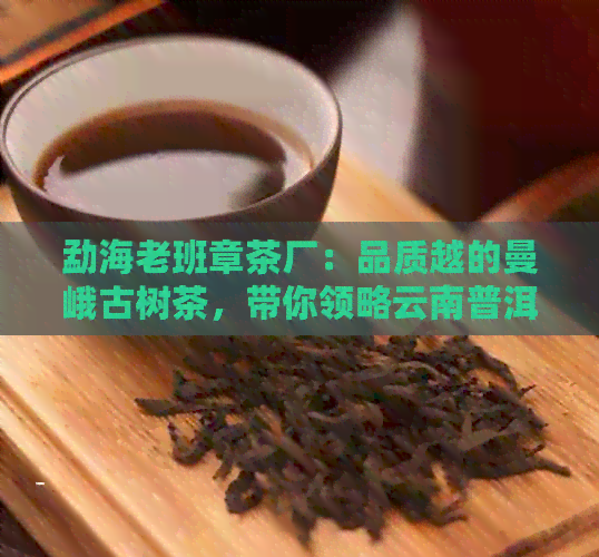 勐海老班章茶厂：品质越的曼峨古树茶，带你领略云南普洱茶的魅力与历