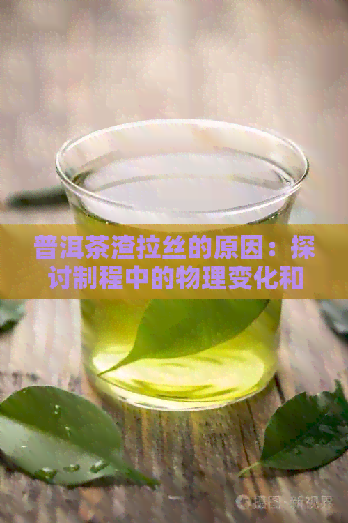 普洱茶渣拉丝的原因：探讨制程中的物理变化和品质影响