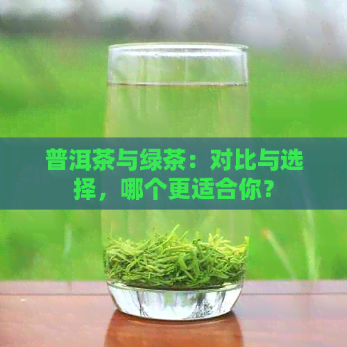 普洱茶与绿茶：对比与选择，哪个更适合你？